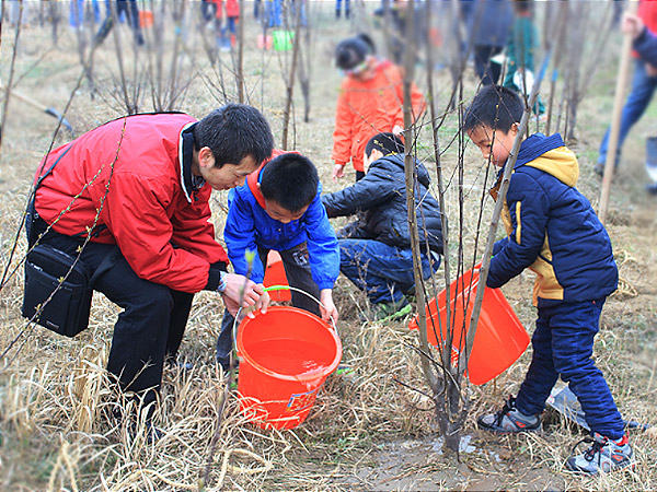 “carbon offset” tree planting